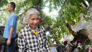 年度第一，但已看不到了