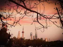 杭沪风云5：贵族会馆的火药味