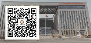 电视专题片《一步不停歇 半步不退让》第二集《严惩政商勾连腐败》