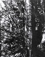 最真实的国产伏击战!最真实的抗联生活电影!