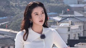 1月15日追剧日历,《看得见风景的窗》和《御赐小仵作2》今日开播