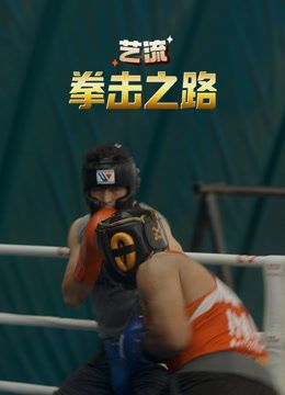 艺流&middot;拳击之路