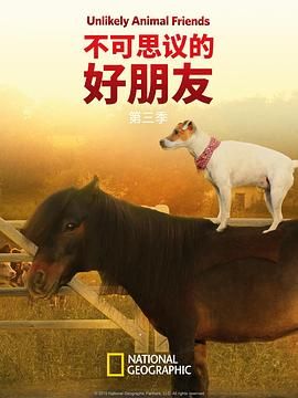不可思议的好朋友第三季