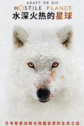 水深火热的星球
