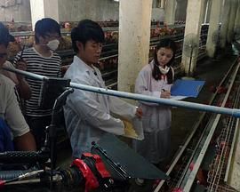 我和教授&ldquo;羊粪豆&rdquo;