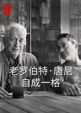 罗伯特&middot;唐尼：自成一格